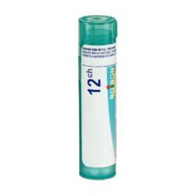 Arnica Montana Granulos 12ch